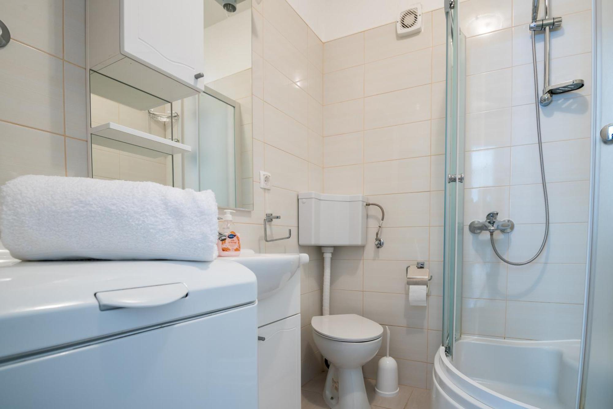 Apartment Mihaela Blace Bagian luar foto